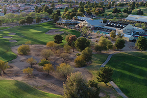 Annual & 6 Month Memberships